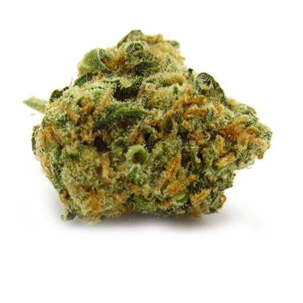 Buy Mango Kush Online from Buyweedcenter today. The high is centered on the body, with deep relaxation, strong euphoria, and a general sedated feeling.