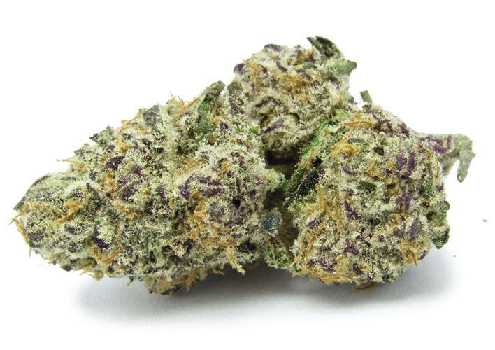 In combination with its high THC level, Purple Punch Strain is perfect for killing the effects of many conditions such as nausea, chronic pain n depression