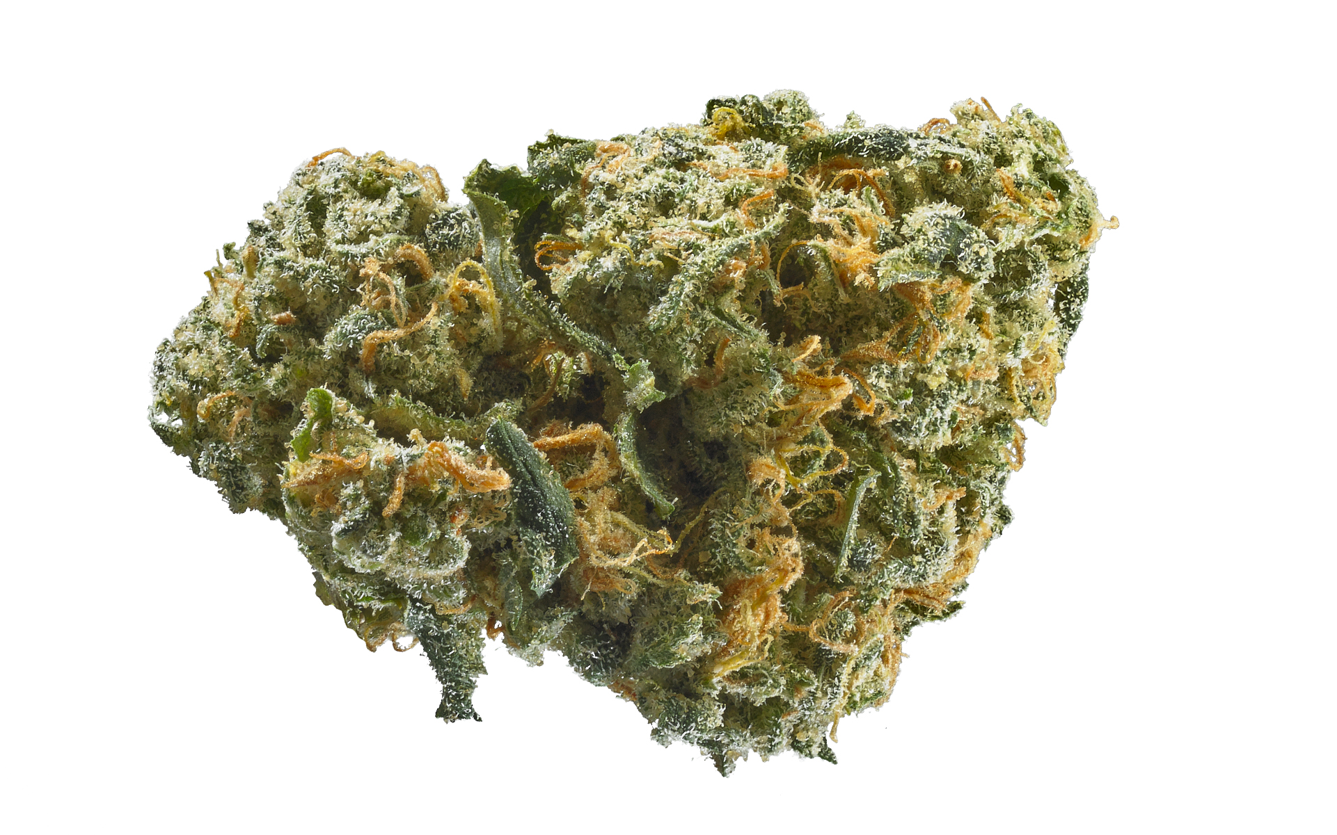 AK-47 Weed is helpful to those suffering from bipolar disorder, depression and other mood disorders. Others use this strain to relax and regulate their mood