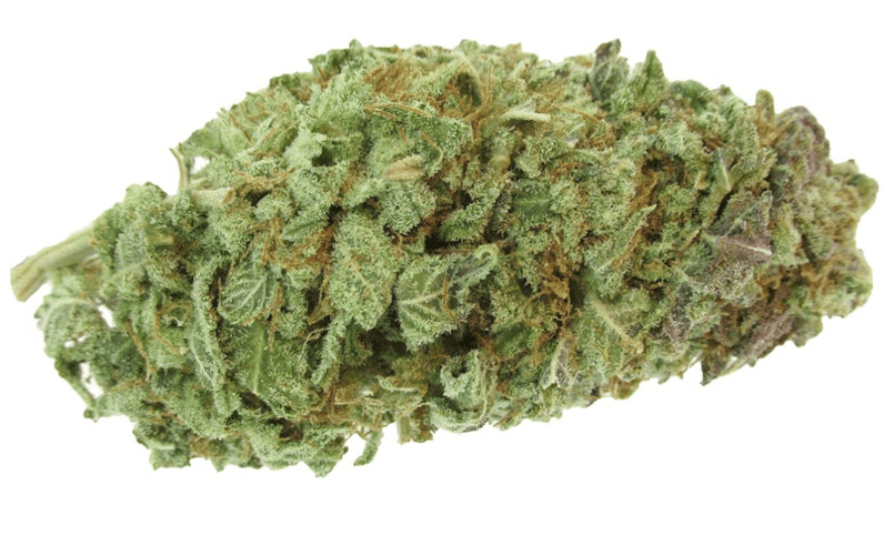 Rocket Fuel Strain has a rich spicy fruity candy flavor with a lightly herbal exhale. A super sleepy state comes next, leaving you dozing almost immediately